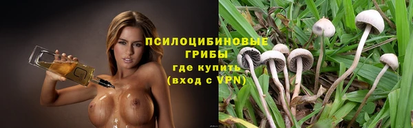 ALPHA-PVP Краснослободск