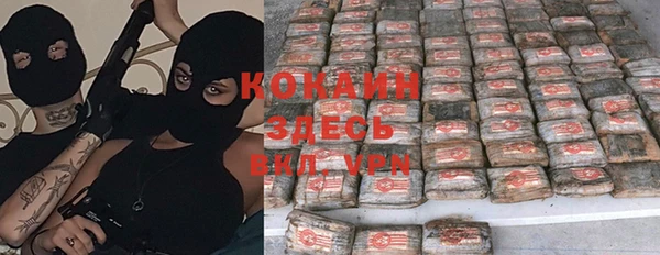 ГАЛЛЮЦИНОГЕННЫЕ ГРИБЫ Грязовец