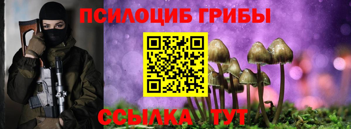 Псилоцибиновые грибы Magic Shrooms Мурино